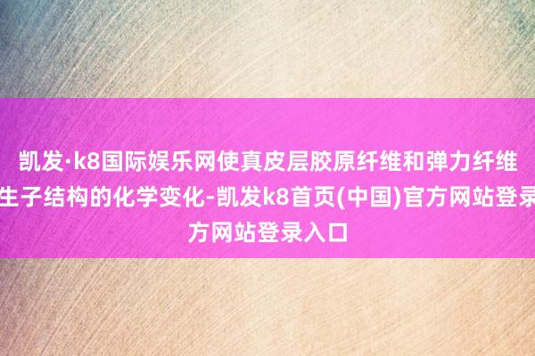 凯发·k8国际娱乐网使真皮层胶原纤维和弹力纤维产陌生子结构的化学变化-凯发k8首页(中国)官方网站登录入口